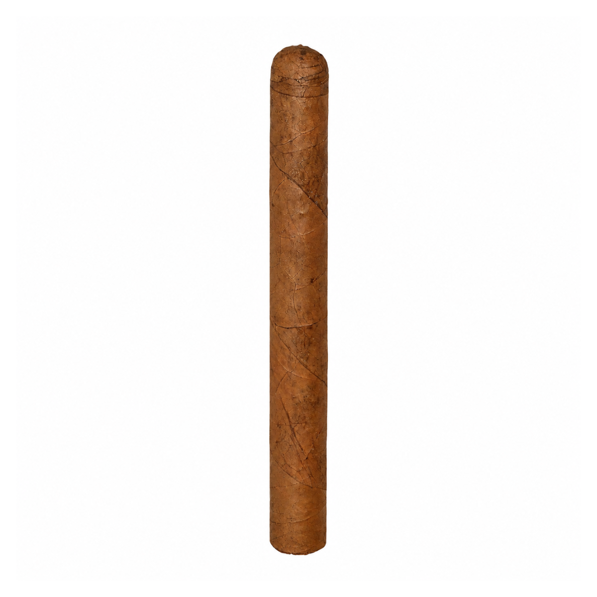 CUSANO BY DAVIDOFF BUNDLE SELECTION PETIT PANETELA - 16 Cigars (Full Box)