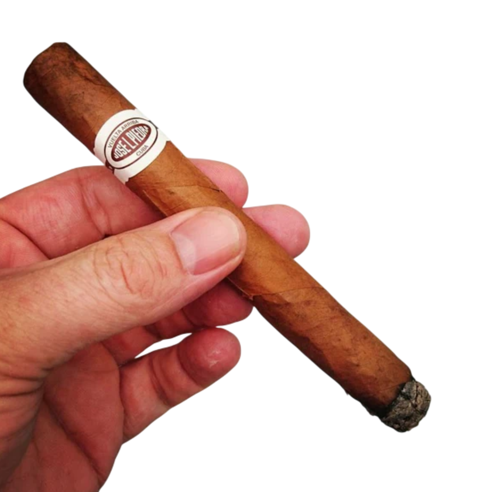 JOSE L PIEDRA CONSERVAS