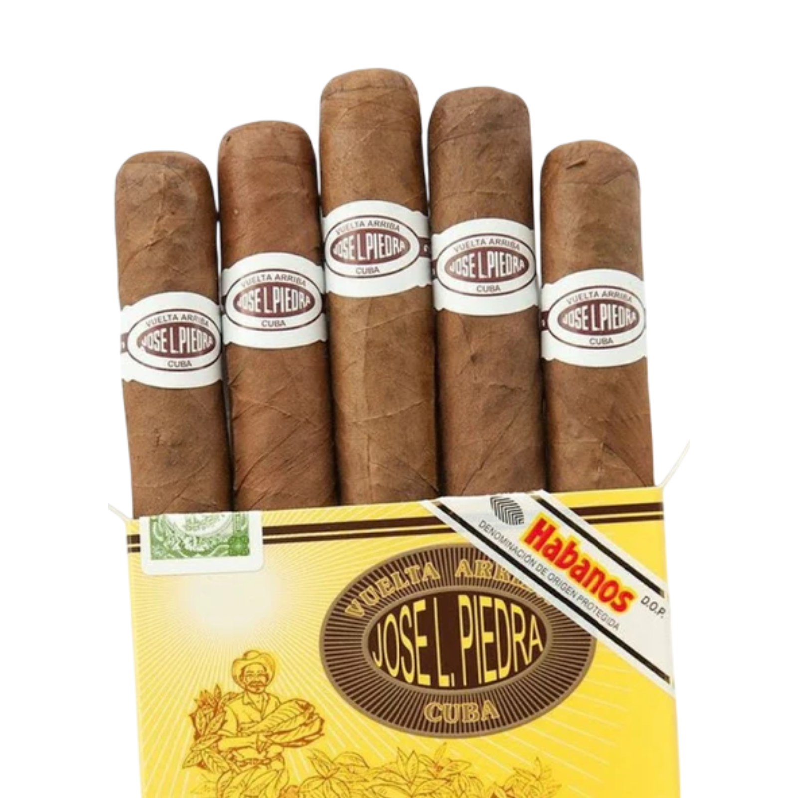 JOSE L PIEDRA CONSERVAS