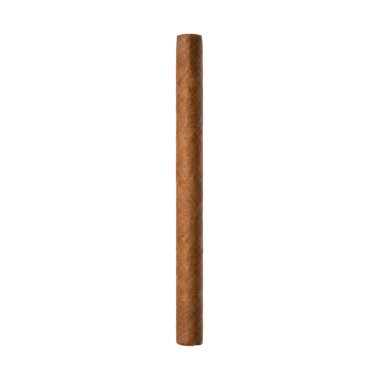 Cohiba Mini 20