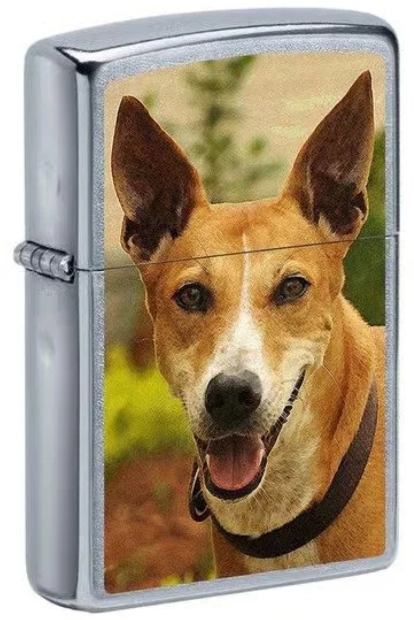 Pariah Dog Design Street Chrome Windproof Lighter (India regional)