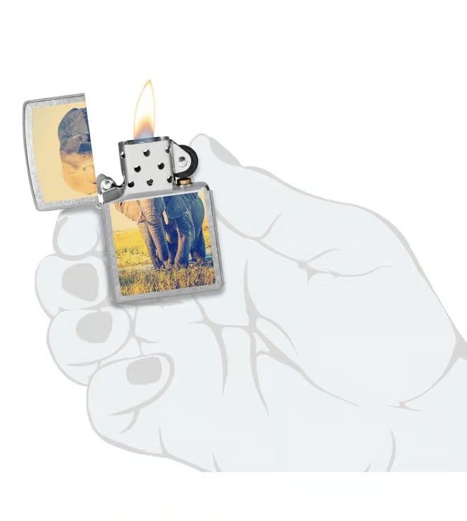 Elephant Design Street Chrome Windproof Lighter (Indian Elephant)
