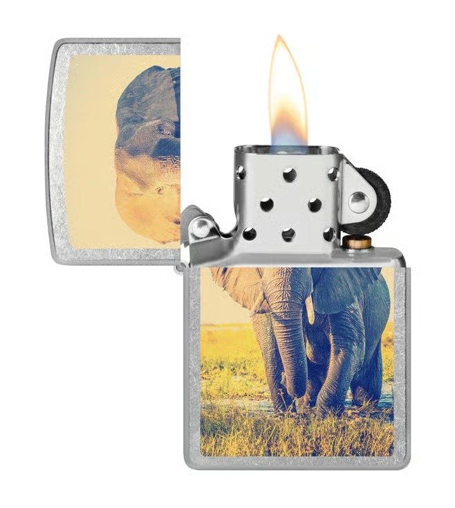 Elephant Design Street Chrome Windproof Lighter (Indian Elephant)