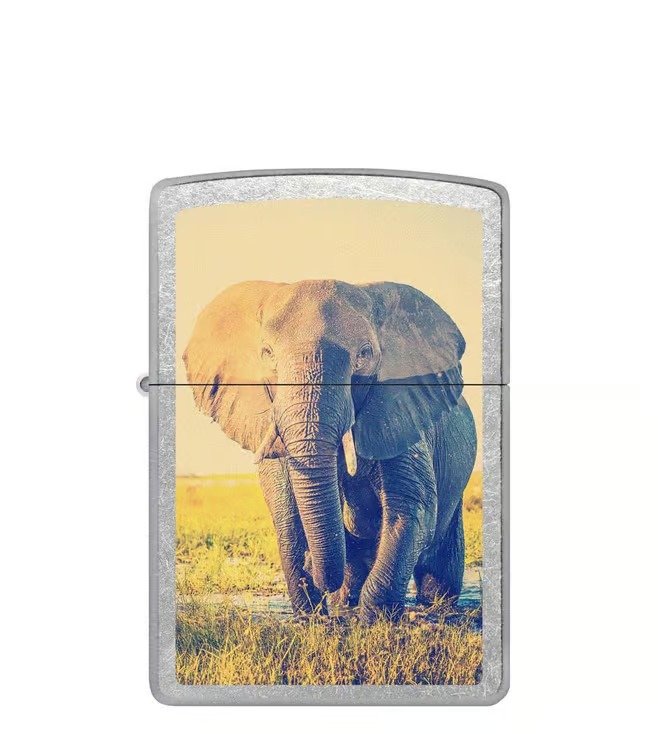 Elephant Design Street Chrome Windproof Lighter (Indian Elephant)