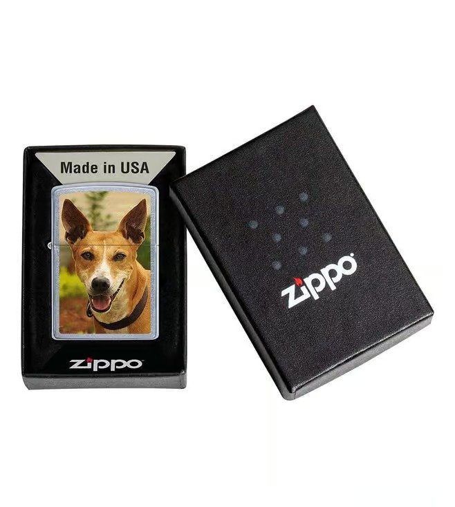 Pariah Dog Design Street Chrome Windproof Lighter (India regional)