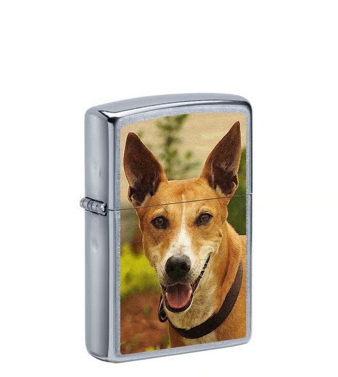 Pariah Dog Design Street Chrome Windproof Lighter (India regional)