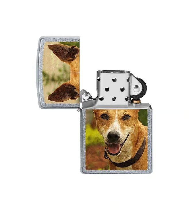 Pariah Dog Design Street Chrome Windproof Lighter (India regional)