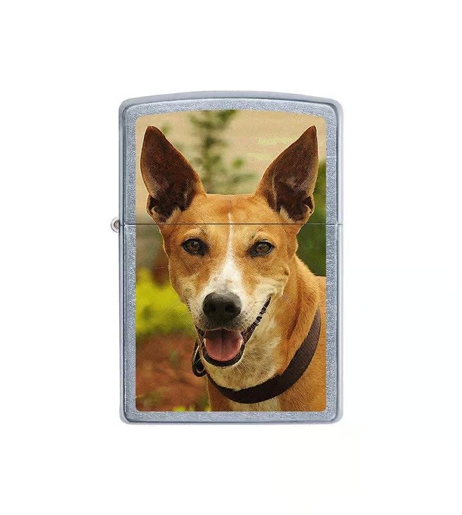Pariah Dog Design Street Chrome Windproof Lighter (India regional)