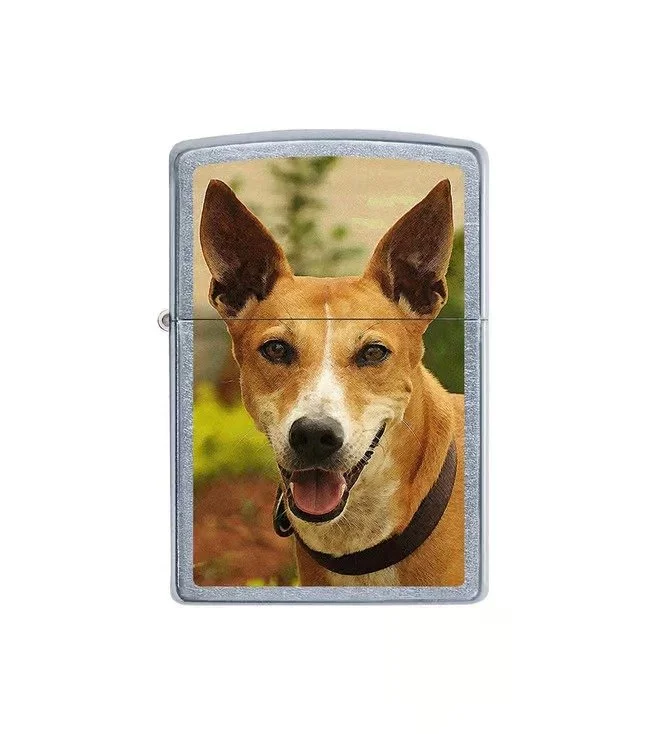 Pariah Dog Design Street Chrome Windproof Lighter (India regional)