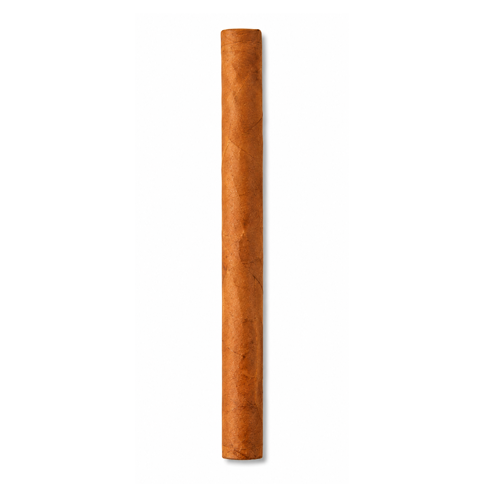 Montecristo Open Club