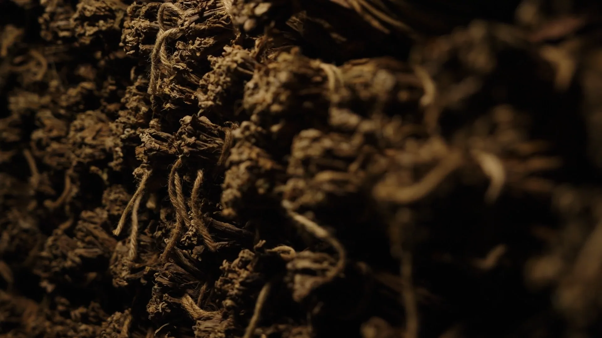 Aged tobacco leaves, dark and cured
