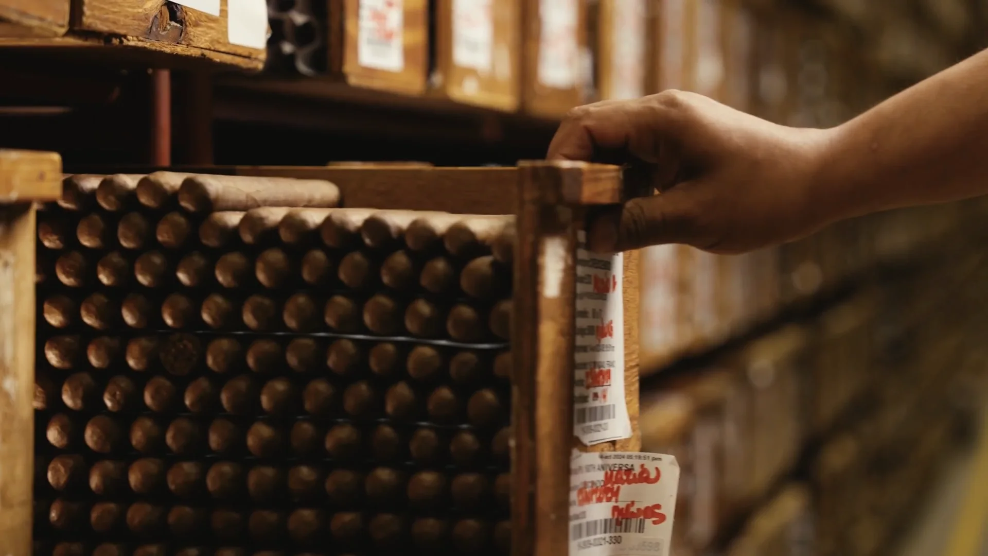 Cigars resting in the aging room